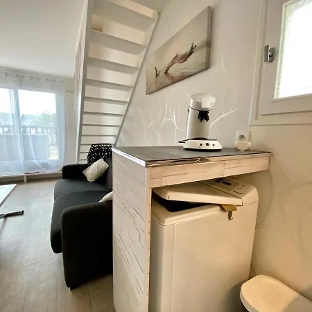 - Agreable Duplex Les Christophines Proche De Thalassotherapie شقة كابورغ
